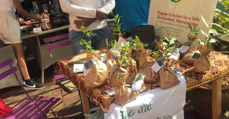 Giving Trees a Voice